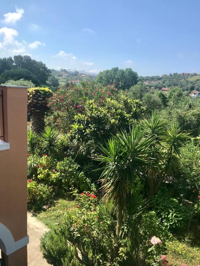 Floros Apartments Agios Stefanos Avliotes  Екстериор снимка