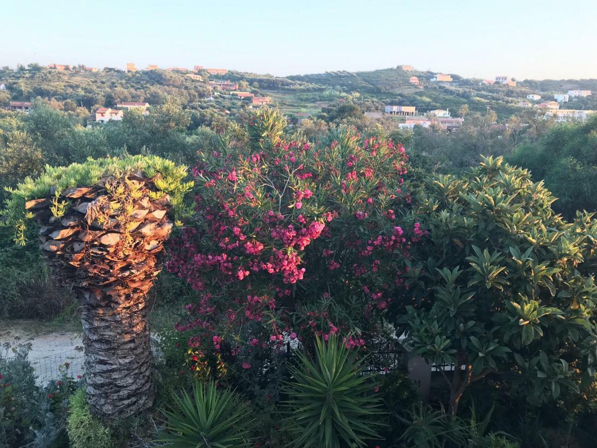 Floros Apartments Agios Stefanos Avliotes  Екстериор снимка